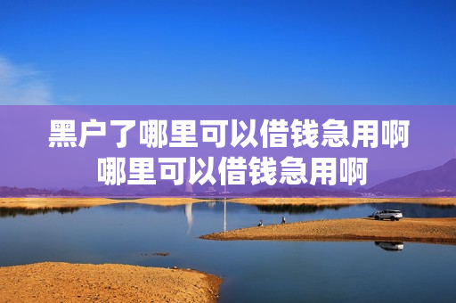 黑户了哪里可以借钱急用啊 哪里可以借钱急用啊