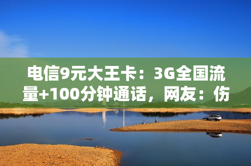 电信9元大王卡：3G全国流量+100分钟通话，网友：伤不起