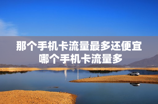 那个手机卡流量最多还便宜 哪个手机卡流量多