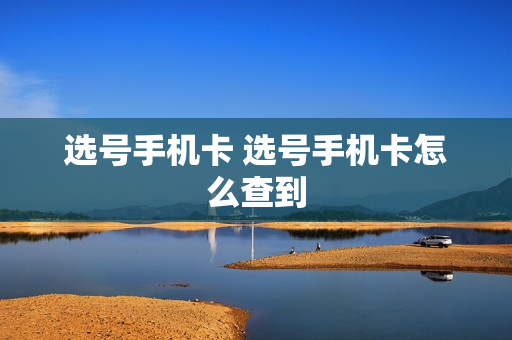选号手机卡 选号手机卡怎么查到