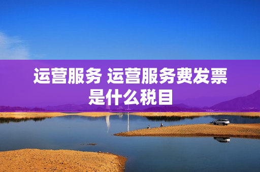 运营服务 运营服务费发票是什么税目