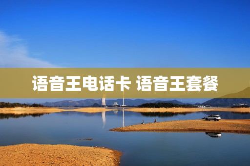 语音王电话卡 语音王套餐