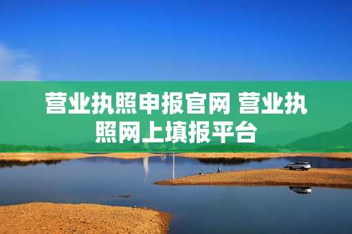 营业执照申报官网 营业执照网上填报平台