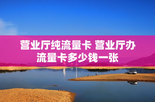 营业厅纯流量卡 营业厅办流量卡多少钱一张