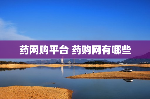 药网购平台 药购网有哪些