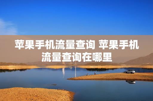 苹果手机流量查询 苹果手机流量查询在哪里