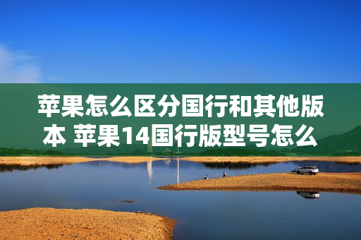 苹果怎么区分国行和其他版本 苹果14国行版型号怎么看