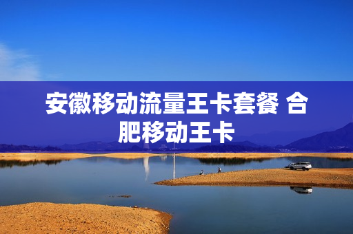 安徽移动流量王卡套餐 合肥移动王卡
