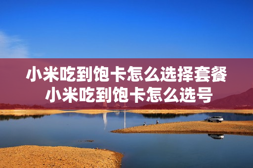 小米吃到饱卡怎么选择套餐 小米吃到饱卡怎么选号
