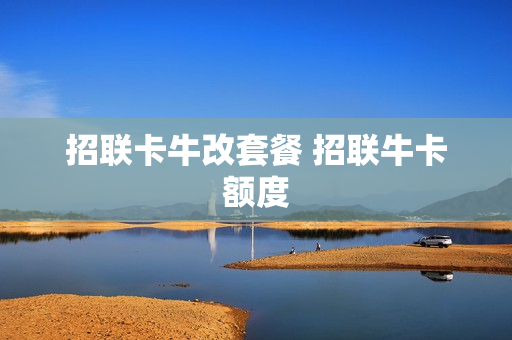 招联卡牛改套餐 招联牛卡额度