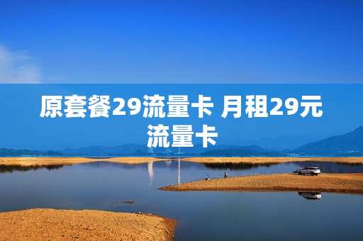 原套餐29流量卡 月租29元流量卡