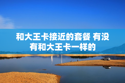 和大王卡接近的套餐 有没有和大王卡一样的