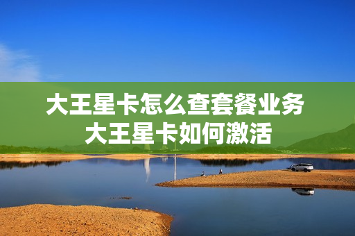 大王星卡怎么查套餐业务 大王星卡如何激活