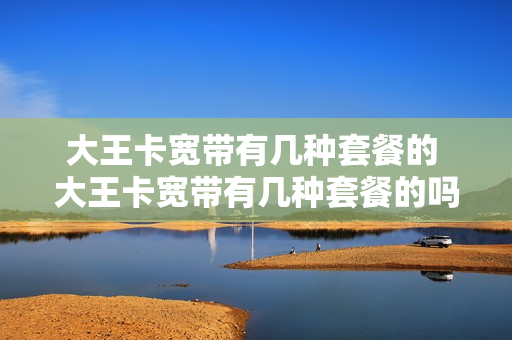 大王卡宽带有几种套餐的 大王卡宽带有几种套餐的吗