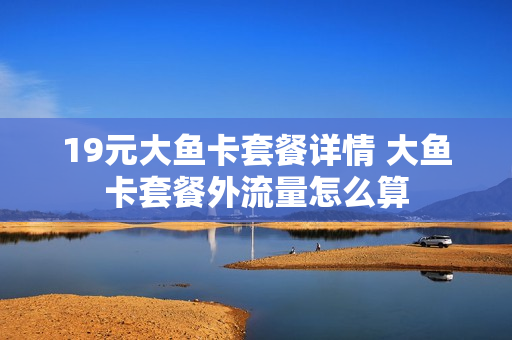 19元大鱼卡套餐详情 大鱼卡套餐外流量怎么算