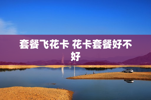 套餐飞花卡 花卡套餐好不好