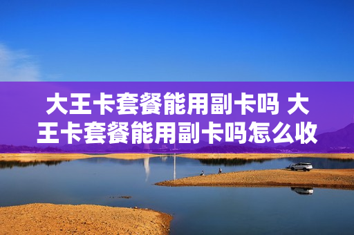 大王卡套餐能用副卡吗 大王卡套餐能用副卡吗怎么收费