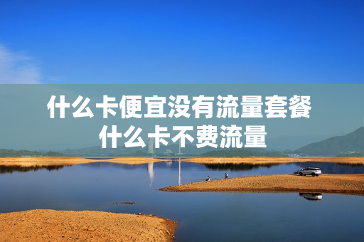 什么卡便宜没有流量套餐 什么卡不费流量