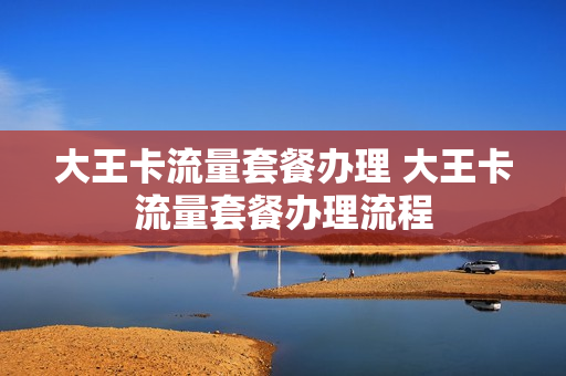 大王卡流量套餐办理 大王卡流量套餐办理流程