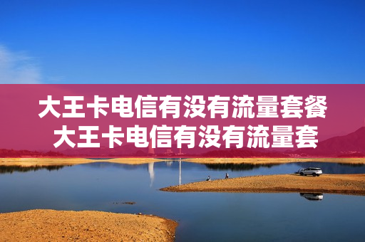 大王卡电信有没有流量套餐 大王卡电信有没有流量套餐的