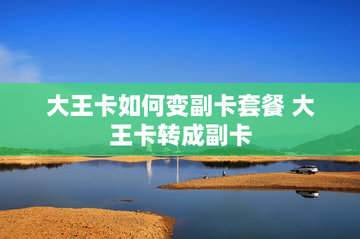 大王卡如何变副卡套餐 大王卡转成副卡
