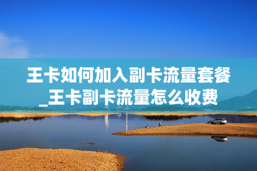 王卡如何加入副卡流量套餐_王卡副卡流量怎么收费