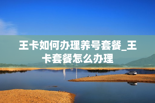 王卡如何办理养号套餐_王卡套餐怎么办理