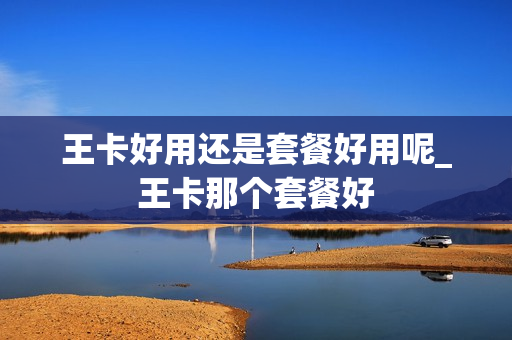 王卡好用还是套餐好用呢_王卡那个套餐好