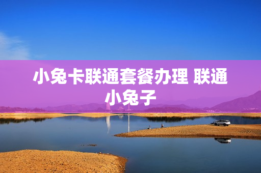 小兔卡联通套餐办理 联通小兔子