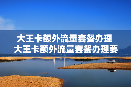 大王卡额外流量套餐办理 大王卡额外流量套餐办理要钱吗