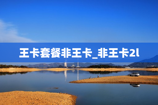 王卡套餐非王卡_非王卡2l