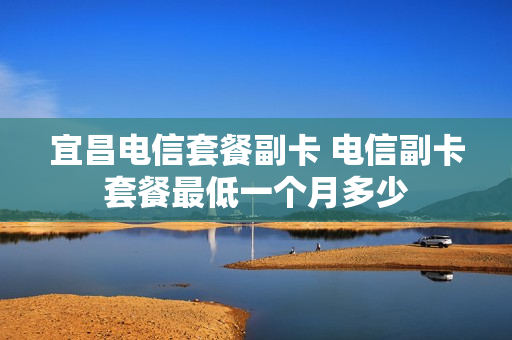 宜昌电信套餐副卡 电信副卡套餐最低一个月多少