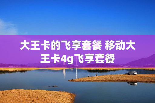 大王卡的飞享套餐 移动大王卡4g飞享套餐