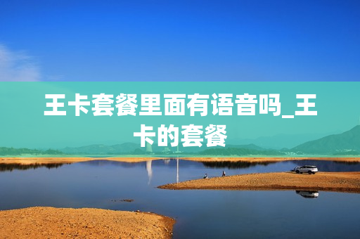 王卡套餐里面有语音吗_王卡的套餐