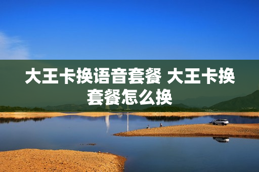 大王卡换语音套餐 大王卡换套餐怎么换