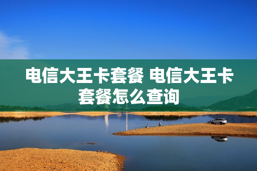电信大王卡套餐 电信大王卡套餐怎么查询