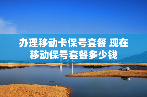 办理移动卡保号套餐 现在移动保号套餐多少钱