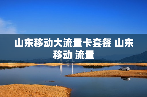 山东移动大流量卡套餐 山东移动 流量