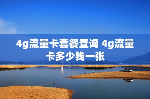 4g流量卡套餐查询 4g流量卡多少钱一张