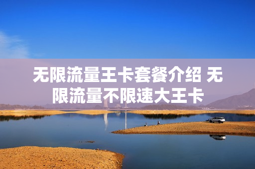 无限流量王卡套餐介绍 无限流量不限速大王卡