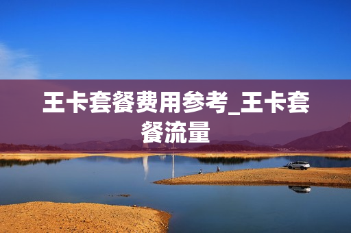 王卡套餐费用参考_王卡套餐流量