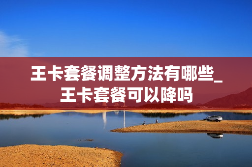 王卡套餐调整方法有哪些_王卡套餐可以降吗