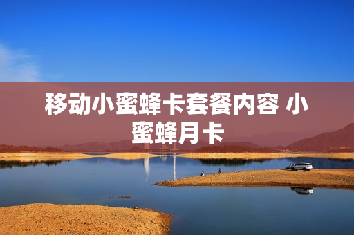 移动小蜜蜂卡套餐内容 小蜜蜂月卡