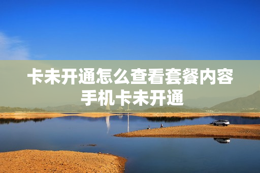 卡未开通怎么查看套餐内容 手机卡未开通