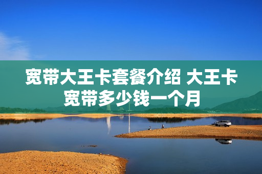 宽带大王卡套餐介绍 大王卡宽带多少钱一个月