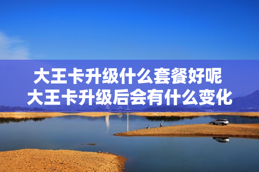 大王卡升级什么套餐好呢 大王卡升级后会有什么变化