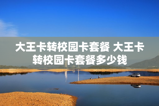 大王卡转校园卡套餐 大王卡转校园卡套餐多少钱