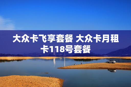 大众卡飞享套餐 大众卡月租卡118号套餐