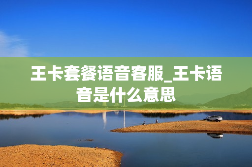 王卡套餐语音客服_王卡语音是什么意思