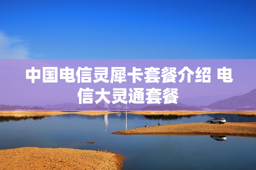 中国电信灵犀卡套餐介绍 电信大灵通套餐